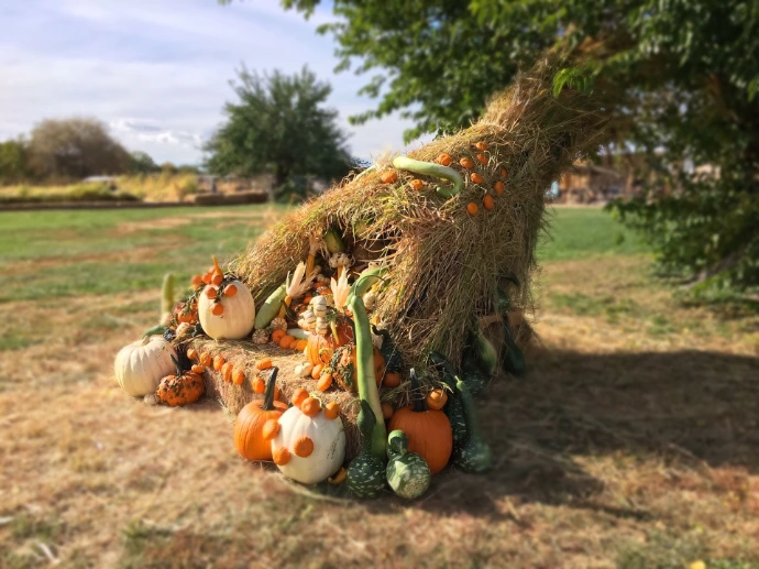 Fall Festival