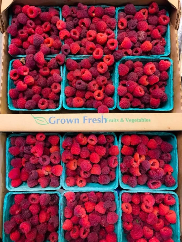 Box of Raspberries